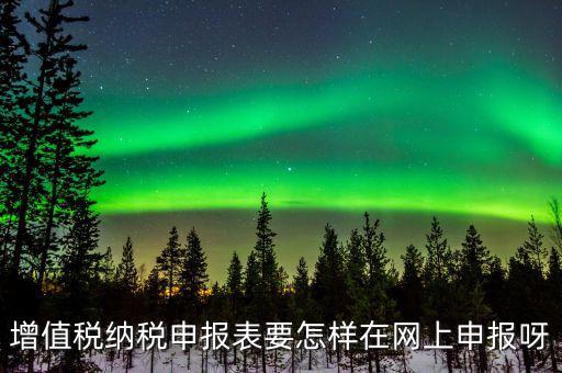 增值稅網上如何申報系統，增值稅納稅申報表要怎樣在網上申報呀