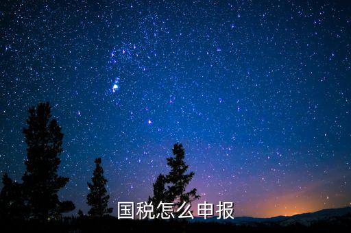 北京國稅如何登陸申報，國稅如何網(wǎng)上零申報 具體步驟有五個