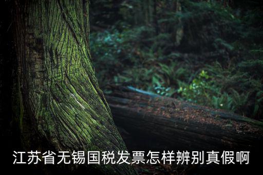 如何查詢無錫國稅發票真偽查詢，江蘇省無錫國稅發票怎樣辨別真假啊
