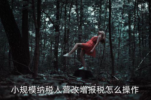 小規模納稅人營改增報稅怎么操作