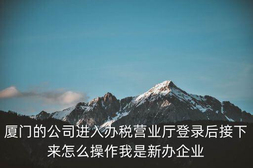 廈門的公司進入辦稅營業廳登錄后接下來怎么操作我是新辦企業