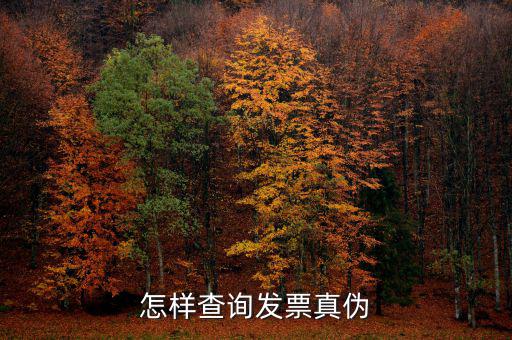 怎樣查詢發票真偽