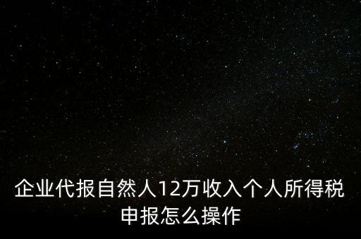 企業代報自然人12萬收入個人所得稅申報怎么操作