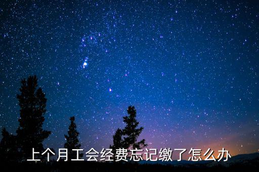 如何補繳上月工會經費地稅，工會經費上月已申報但未繳費本月可以補交嗎在哪里補交是在報稅系統