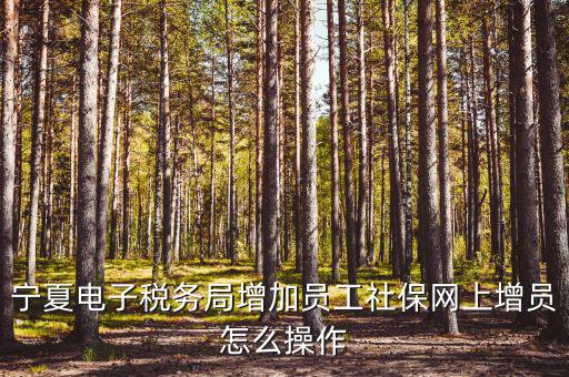 寧夏電子稅務系統如何開通，開通電子稅務局需要帶些什么東西去稅務局才能開通