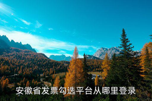 安徽省如何在網(wǎng)上申請(qǐng)購(gòu)發(fā)票，安徽省發(fā)票勾選平臺(tái)從哪里登錄