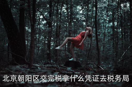 北京朝陽區交完稅拿什么憑證去稅務局