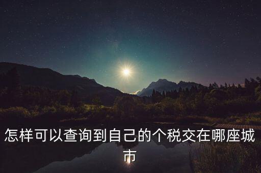 如何查詢(xún)個(gè)人所得稅所交地點(diǎn)，怎樣可以查詢(xún)到自己的個(gè)稅交在哪座城市