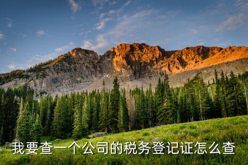 如何查詢稅務登記表，稅務登記證查詢