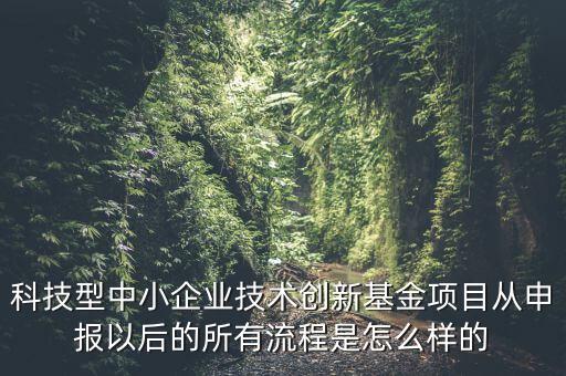 科技型中小企業技術創新基金項目從申報以后的所有流程是怎么樣的