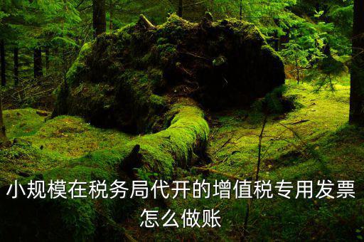 小規模在稅務局代開的增值稅專用發票怎么做賬