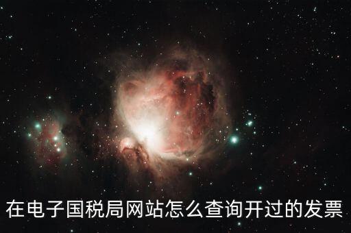 在電子國稅局網站怎么查詢開過的發票