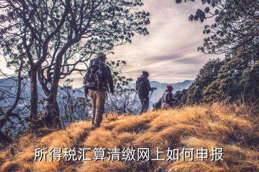 清稅申請如何在云稅廳申請，網上企業所得稅匯算清繳如何申報