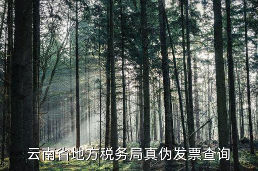 如何查詢(xún)?cè)颇蠂?guó)稅發(fā)票真?zhèn)尾樵?xún)，云南省地方稅務(wù)局真?zhèn)伟l(fā)票查詢(xún)