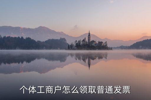 個(gè)體工商戶(hù)怎么領(lǐng)取普通發(fā)票