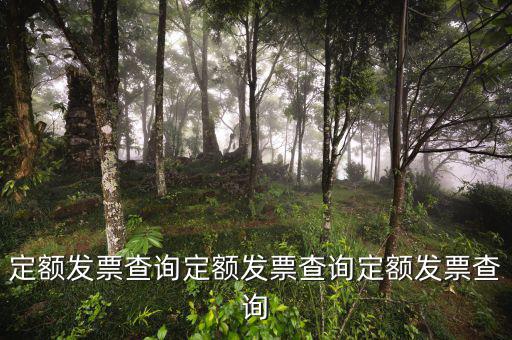 定額發票查詢定額發票查詢定額發票查詢