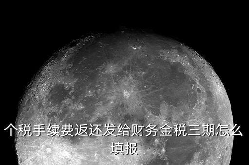 個稅手續費返還發給財務金稅三期怎么填報