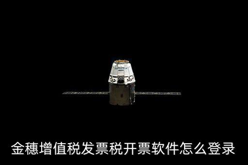 金穗增值稅發票稅開票軟件怎么登錄