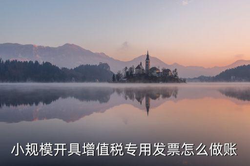 小規模開具增值稅專用發票怎么做賬