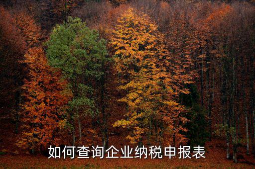 如何查詢企業納稅申報表