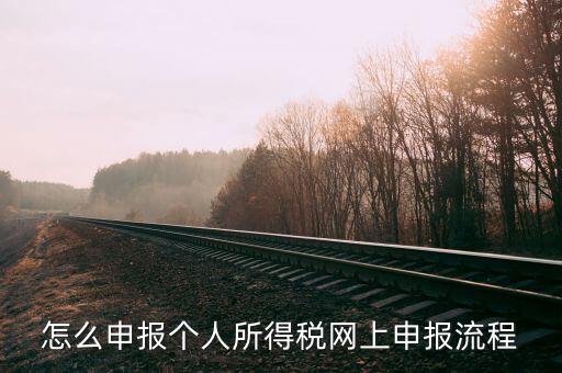 泉州個人所得稅如何網上申報，個人所得稅網上申報步驟
