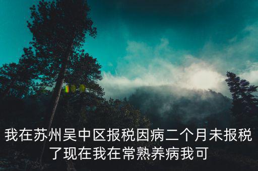 我在蘇州吳中區報稅因病二個月未報稅了現在我在常熟養病我可
