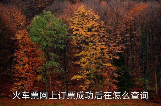 火車票網上訂票成功后在怎么查詢