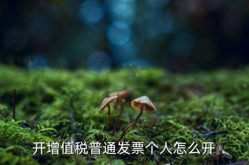 普票如何開給個人，增值稅普通發票開個人需要什么資料