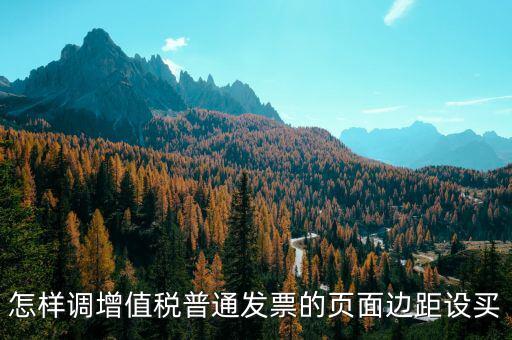 怎樣調增值稅普通發票的頁面邊距設買