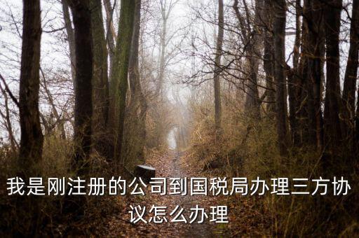 如何激活稅務三方協議，稅務三方協議怎樣激活