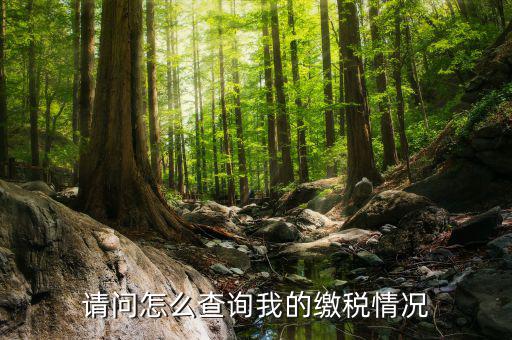 繳納稅款如何查詢，請問怎么查詢我的繳稅情況