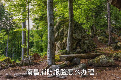 如何辦理報驗登記，外經證已辦理去施工項目當地地稅局報驗登記還需要哪些手續謝謝