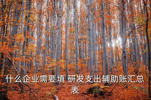 什么企業需要填 研發支出輔助賬匯總表