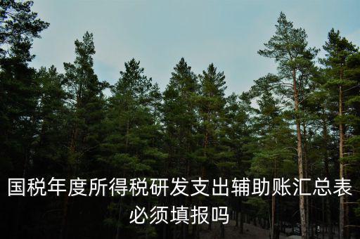 研發支出輔助賬匯總表該如何填寫，什么企業需要填 研發支出輔助賬匯總表