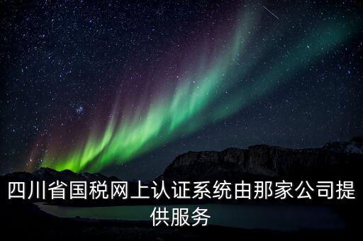 四川省國稅網上認證系統由那家公司提供服務