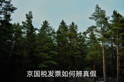 京國稅發票如何辨真假
