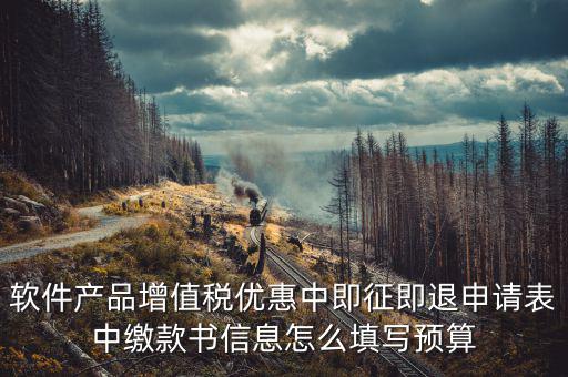 軟件產(chǎn)品增值稅優(yōu)惠中即征即退申請表中繳款書信息怎么填寫預算