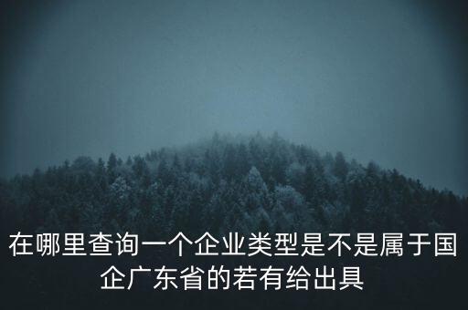 在哪里查詢一個企業類型是不是屬于國企廣東省的若有給出具