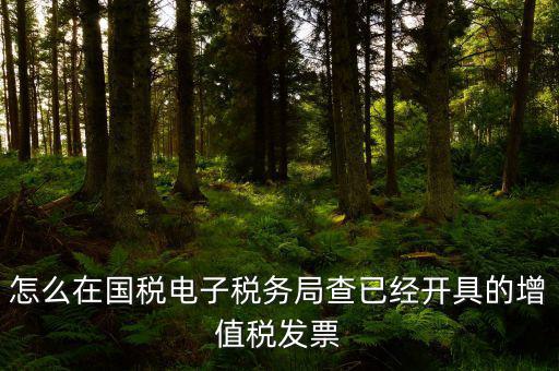 怎么在國稅電子稅務局查已經開具的增值稅發票