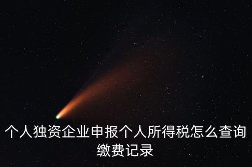 個人獨資企業申報個人所得稅怎么查詢繳費記錄