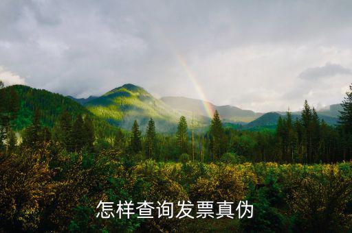 2018年如何查發票真偽，如何發票查詢真偽