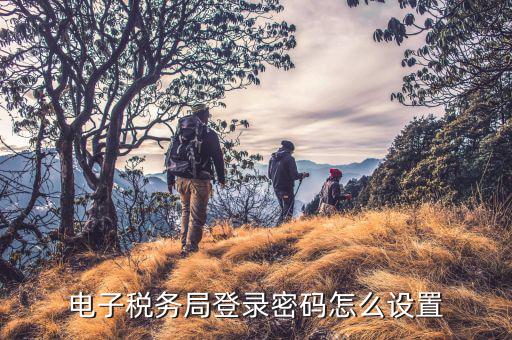 如何修改湖南省網上稅務局密碼，電子稅務局登錄密碼怎么設置