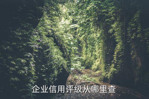 企業信用評級從哪里查