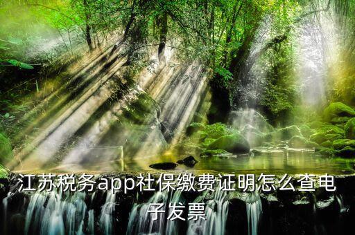 江蘇稅務app社保繳費證明怎么查電子發票