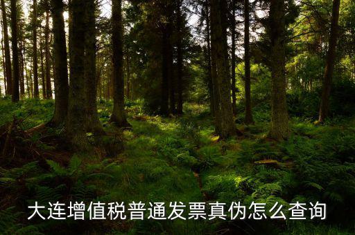 大連定額發票如何查詢系統，大連增值稅普通發票真偽怎么查詢