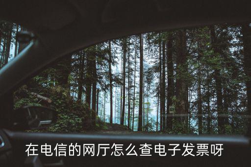 在電信的網廳怎么查電子發票呀
