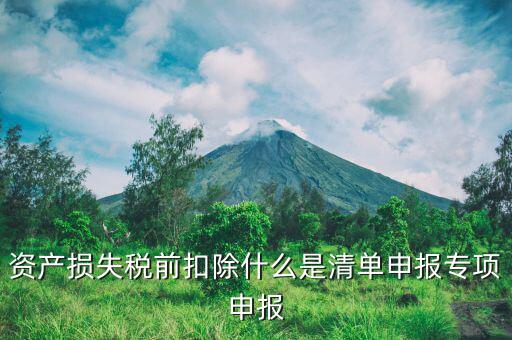 資產損失稅前扣除什么是清單申報專項申報