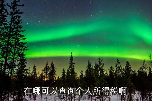 如何查詢(xún)個(gè)人所得稅記錄，在哪可以查詢(xún)個(gè)人所得稅啊