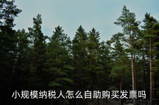 小規模如何領購發票，小規模納稅人領取發票程序