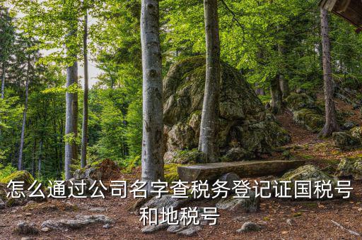 如何查詢企業國稅，怎么通過公司名字查稅務登記證國稅號和地稅號